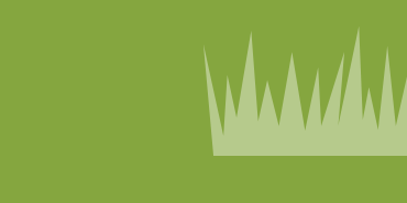 Landscape turf