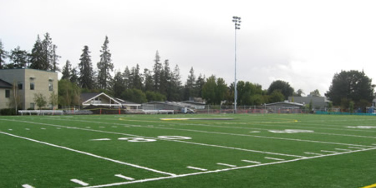 Synthetic Turf Projects