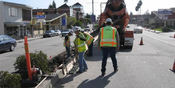 Thumbnail navigation item to preview City of Santa Cruz Median Improvements image