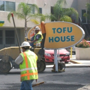Thumbnail navigation item to preview Tofu House image